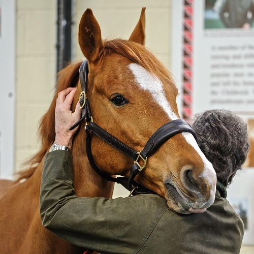 Dietrich Graf von Schweinitz with a horse