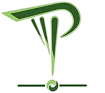 Dietrich Graf Von Schweinitz Acupuncture logo