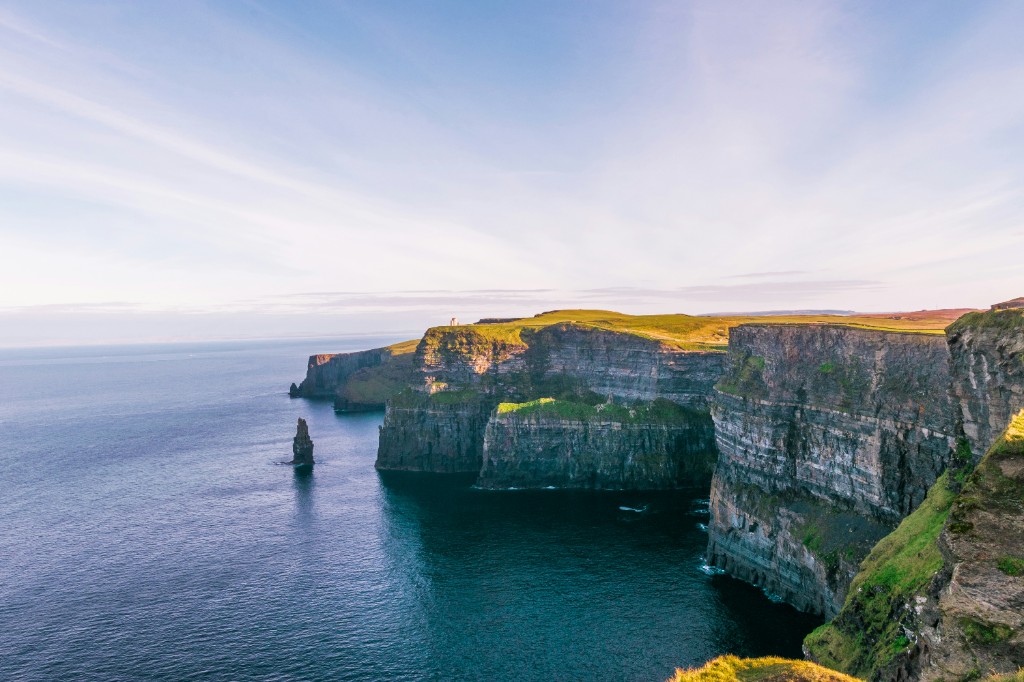 Veterinary services in Ireland